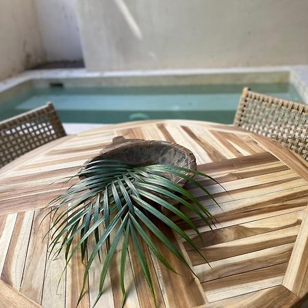 Luxury Apartament With Private Plunge Pool - Ground Floor تولوم المظهر الخارجي الصورة