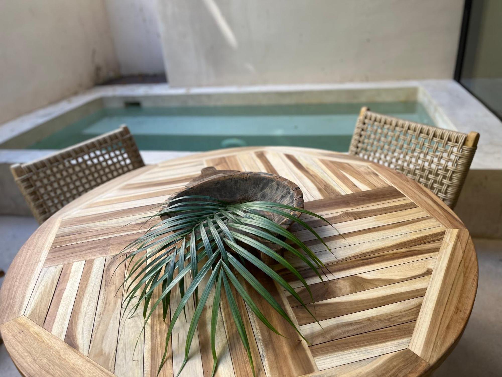 Luxury Apartament With Private Plunge Pool - Ground Floor تولوم المظهر الخارجي الصورة